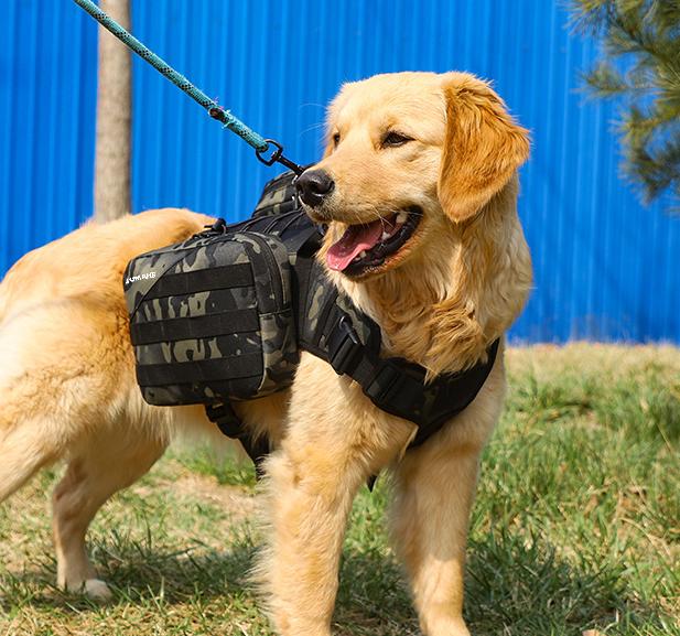 Dog backpack